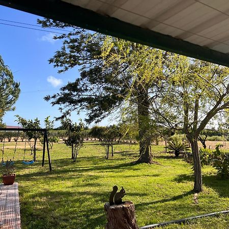 Quinta Dos Viegas Villa Faro Bagian luar foto