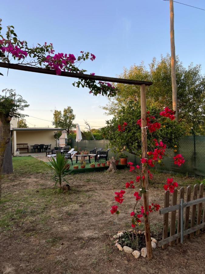 Quinta Dos Viegas Villa Faro Bagian luar foto