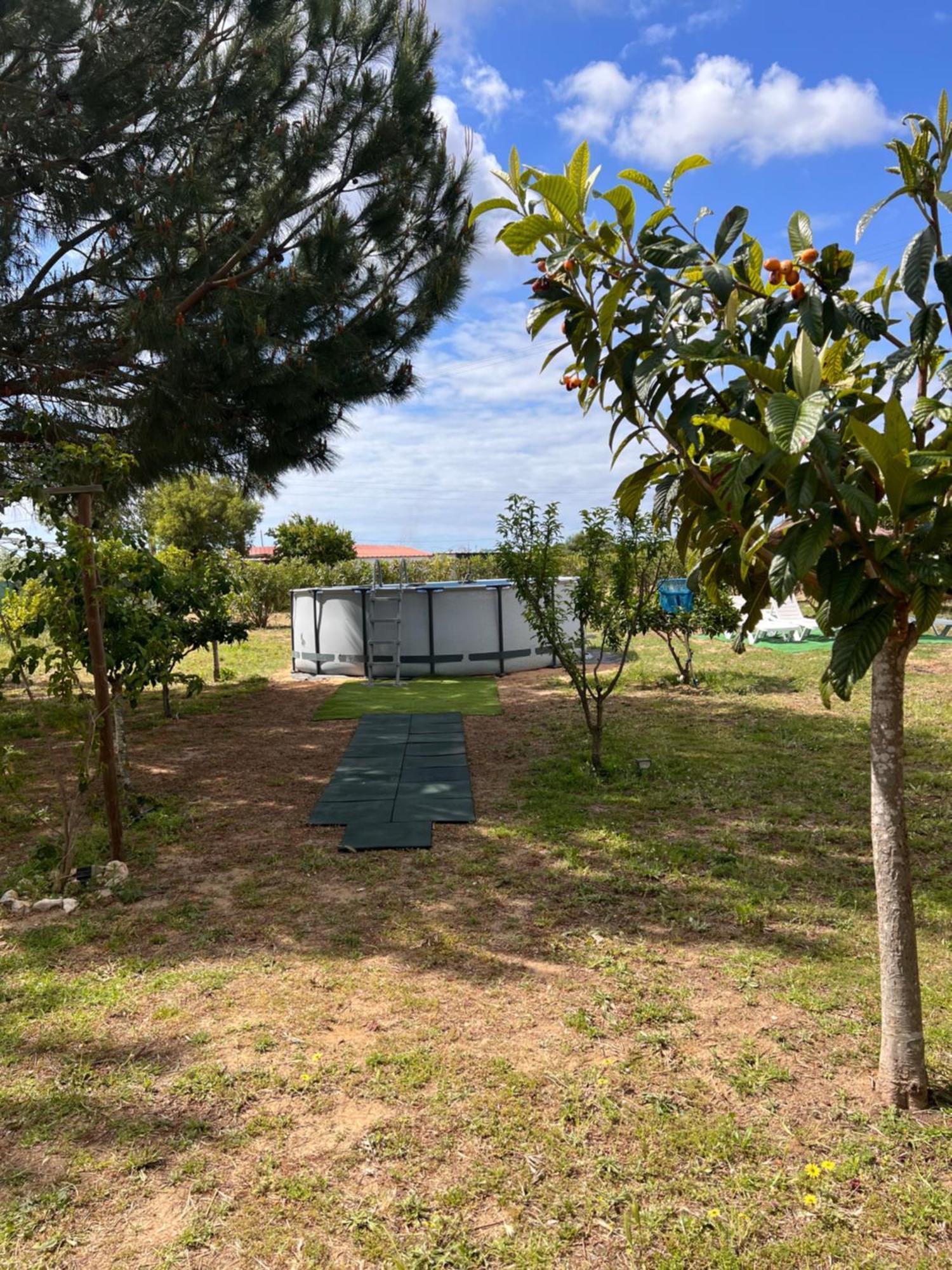 Quinta Dos Viegas Villa Faro Bagian luar foto
